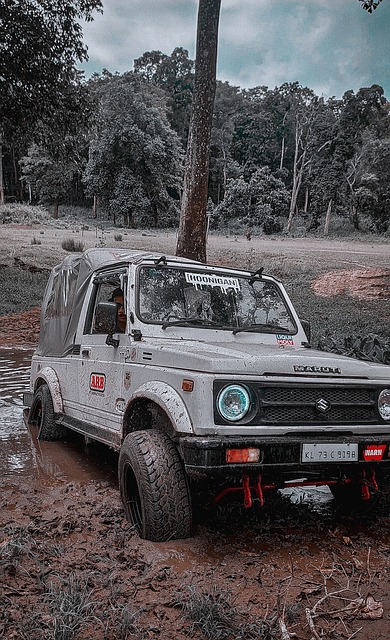 冠形势更添 冠形势更添