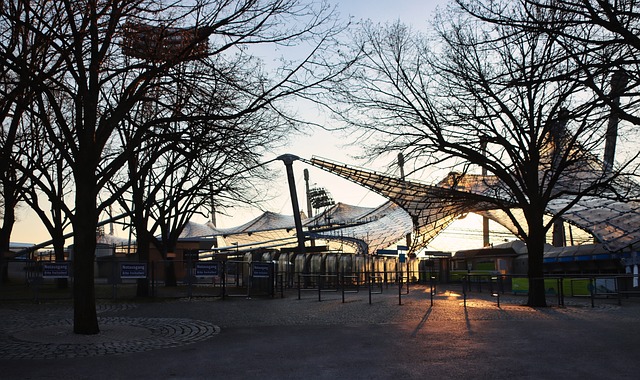 它不仅是一 它不仅是一