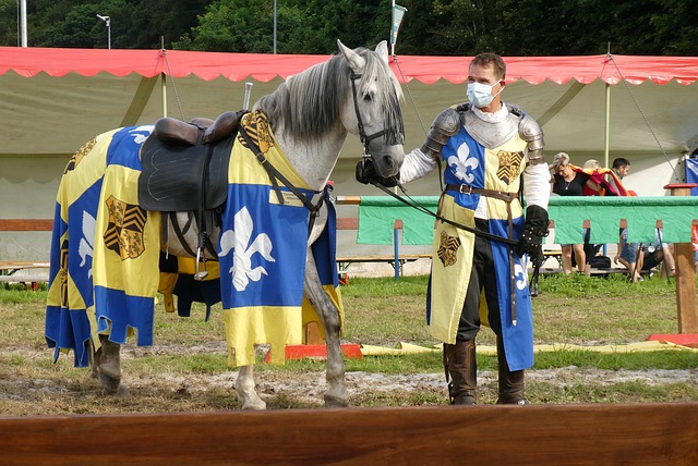 约什 约什